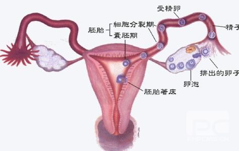 苏州不孕不育医院